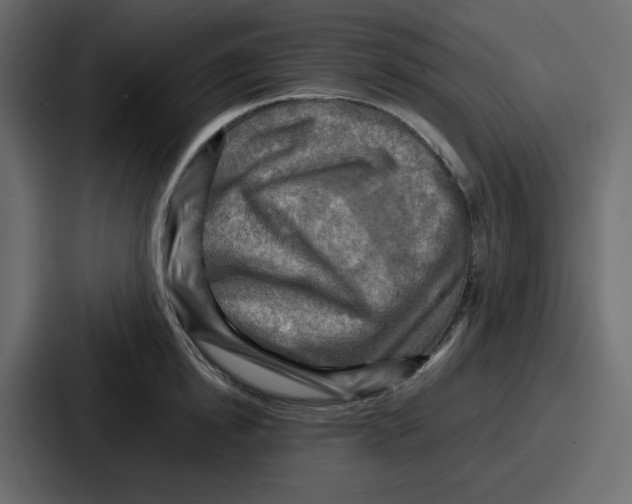 X0000086770854200705111734