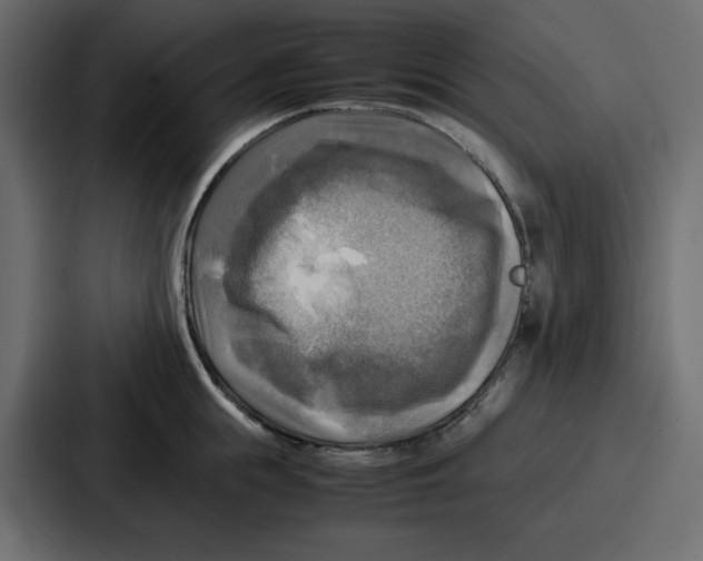 X0000086770855200705111734