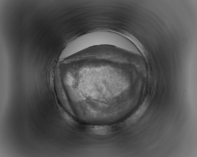 X0000086770857200705111734