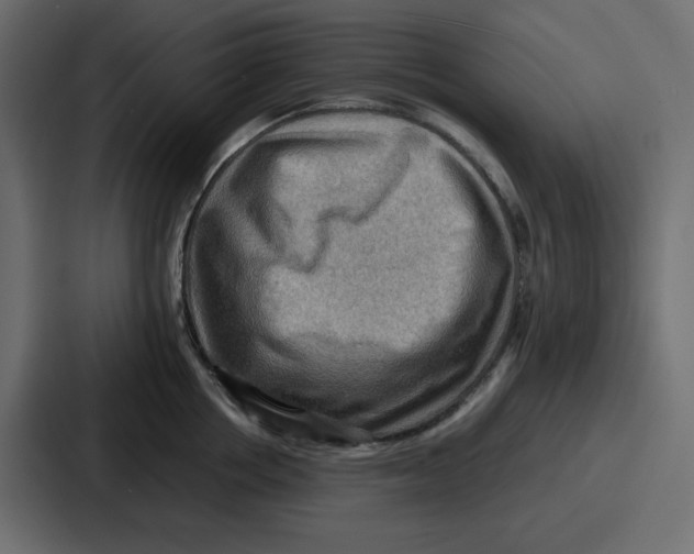 X0000086770858200705111734