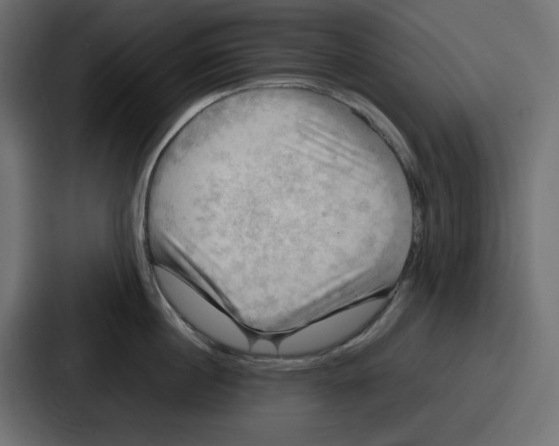 X0000086770860200705111734