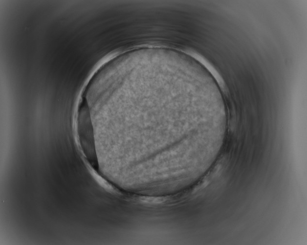 X0000086770861200705111734