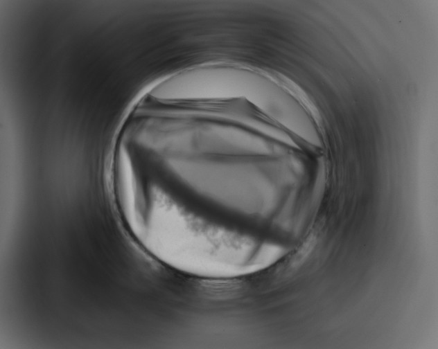 X0000086770863200705111734