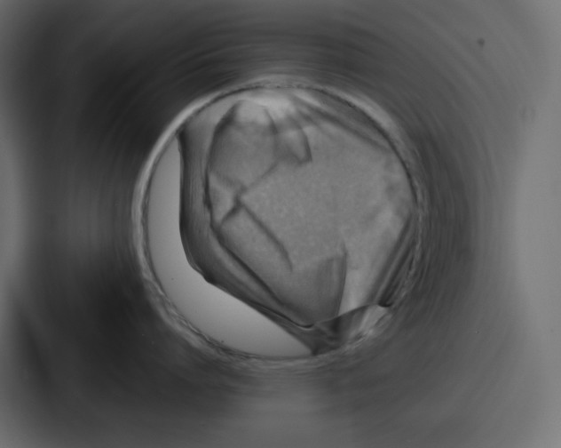 X0000086770864200705111734