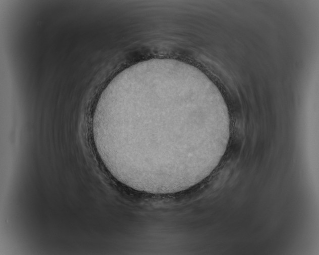 X0000086770865200705111733
