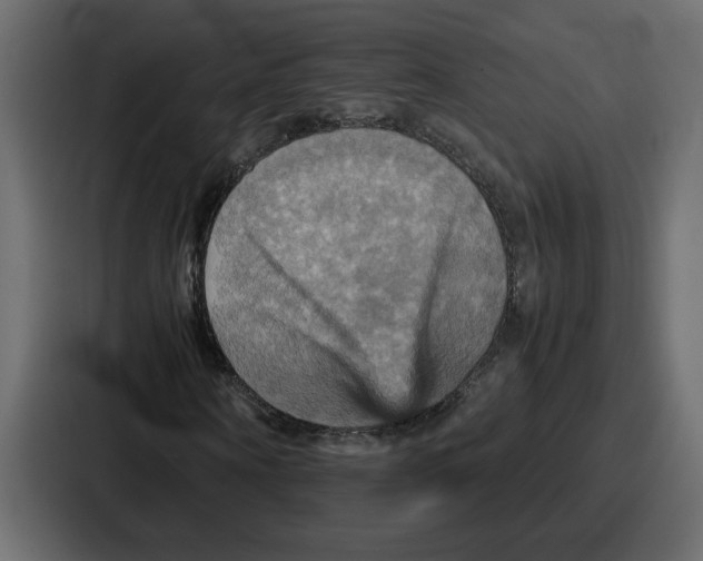 X0000086770866200705111733