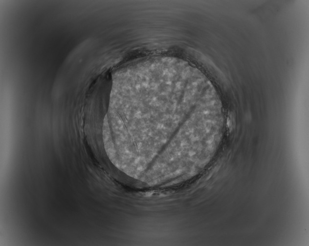 X0000086770867200705111733
