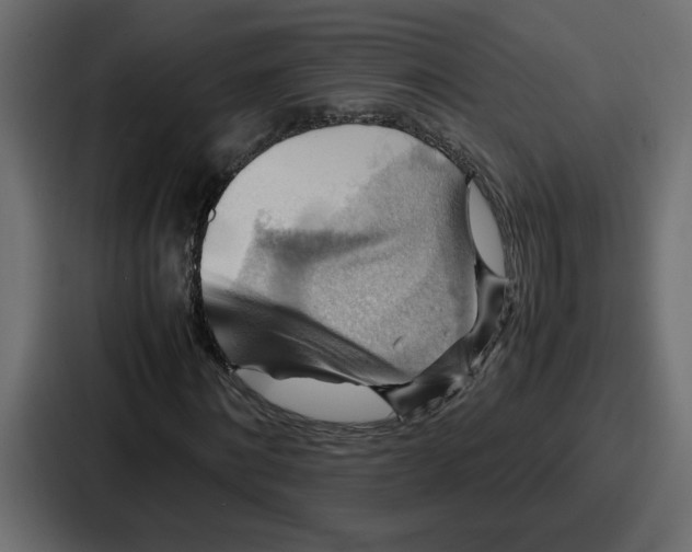 X0000086770868200705111733