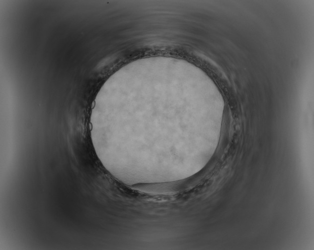 X0000086770869200705111733