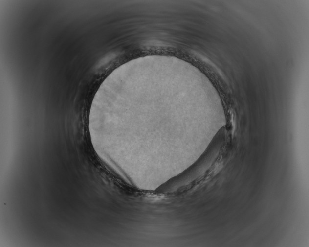 X0000086770870200705111733