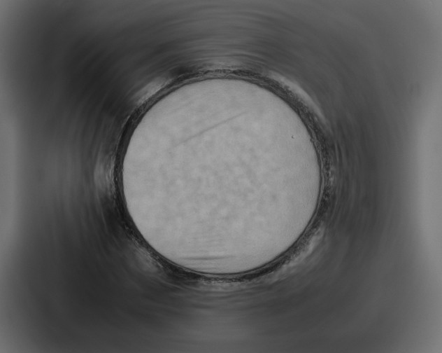 X0000086770873200705111733