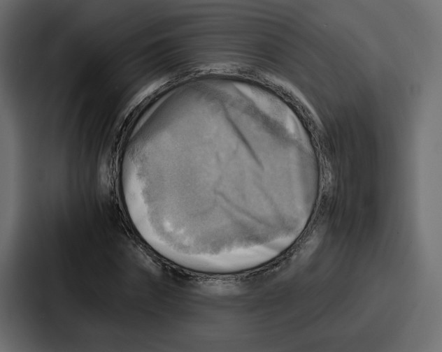 X0000086770874200705111733