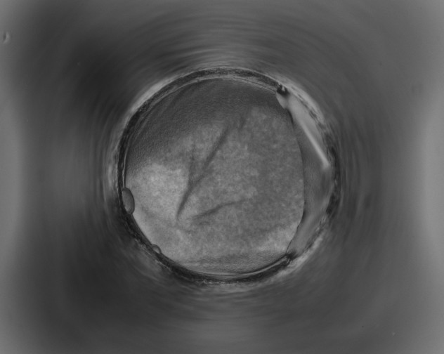 X0000086770877200705111733