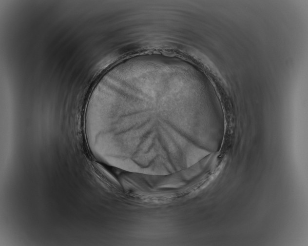 X0000086770881200705111733