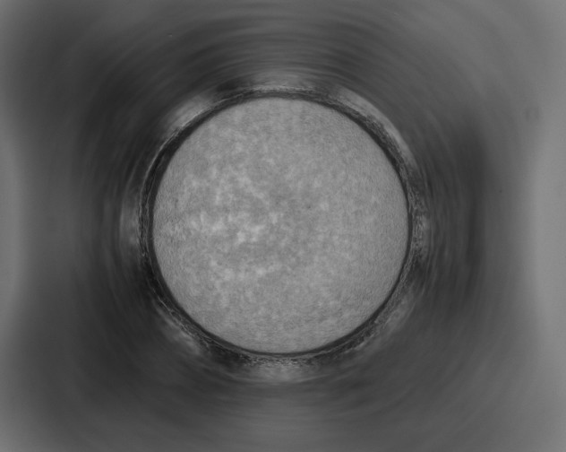 X0000086770882200705111733
