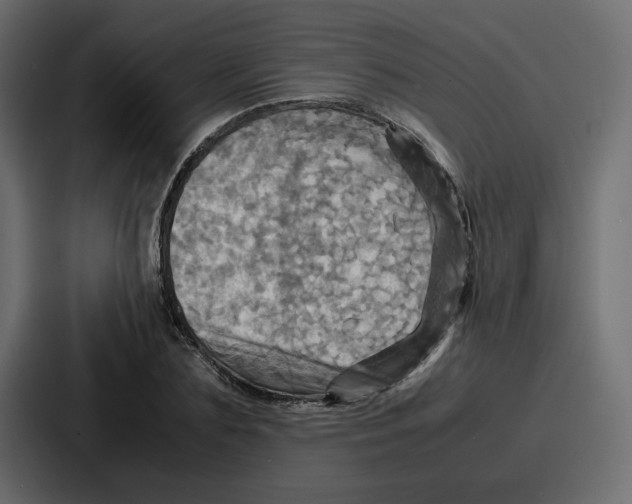 X0000086770883200705111733