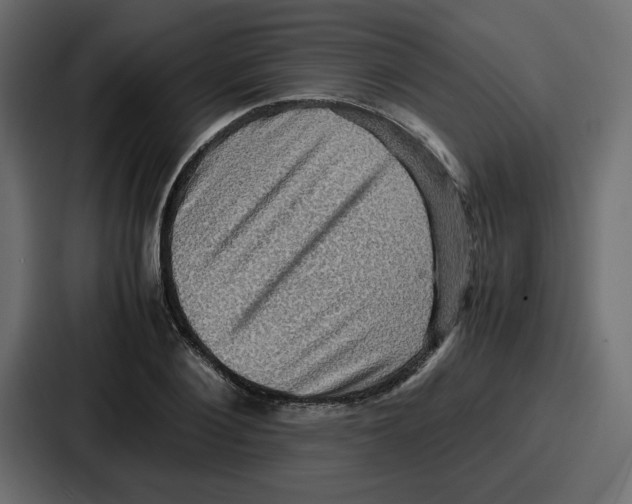 X0000086770884200705111733