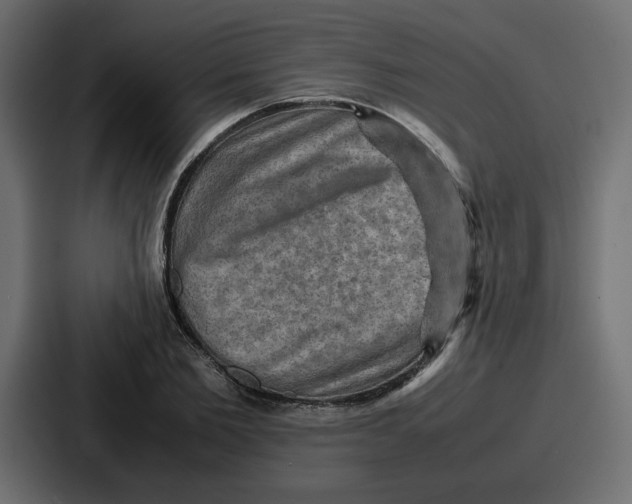 X0000086770885200705111733