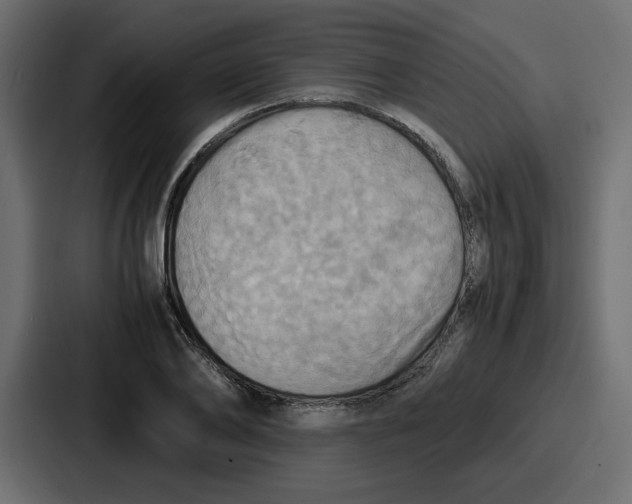 X0000086770886200705111733