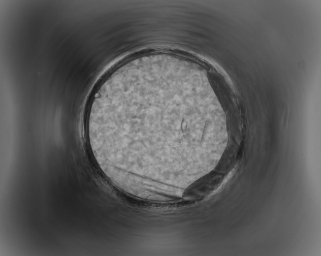 X0000086770887200705111733