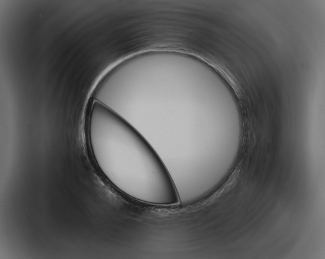 X0000086770888200705111733