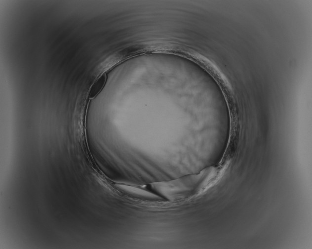 X0000086770889200705111733
