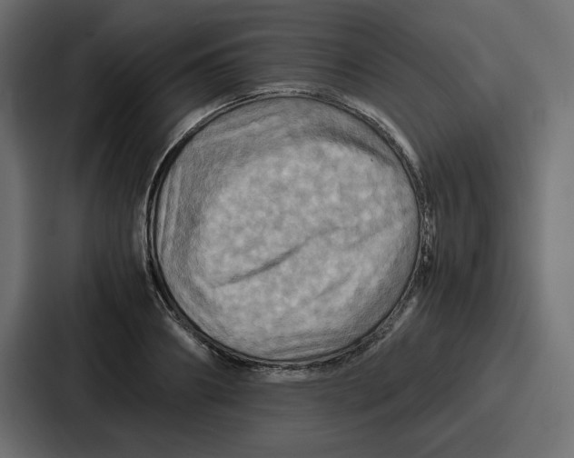 X0000086770890200705111733