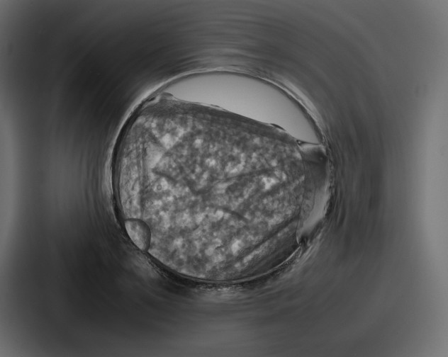 X0000086770891200705111733