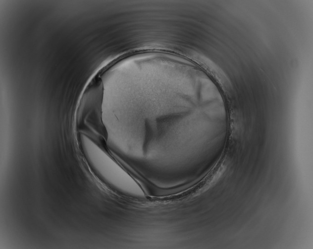 X0000086770892200705111733