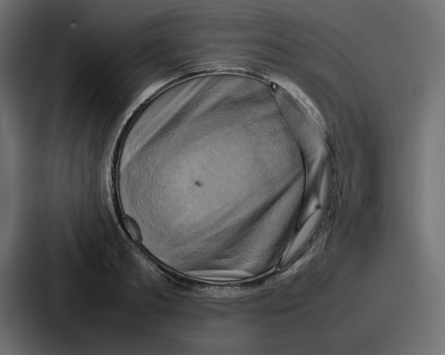 X0000086770893200705111733