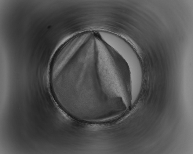 X0000086770894200705111733