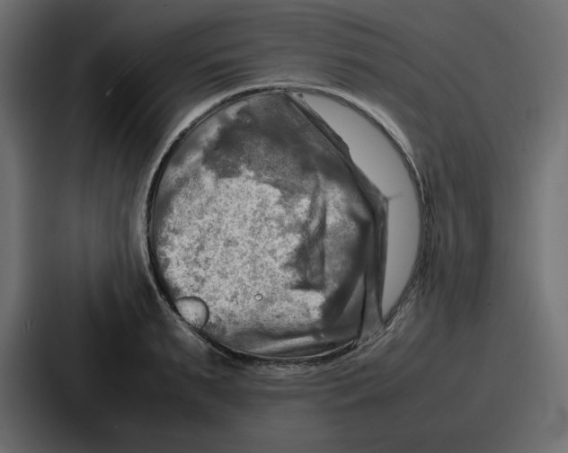 X0000086770895200705111733