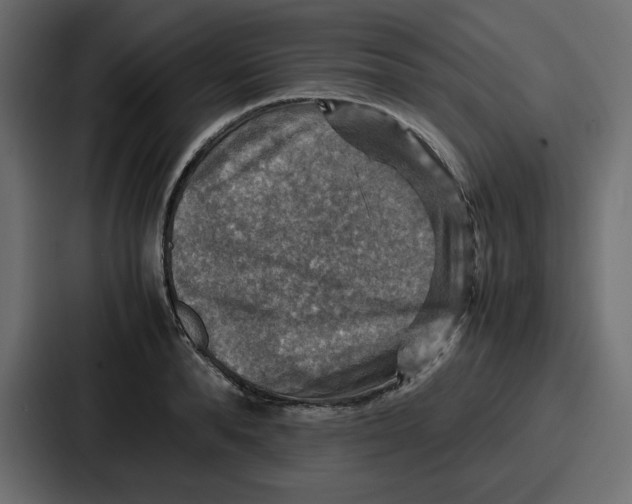 X0000086770896200705111733