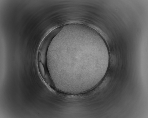 X0000086770898200705111733
