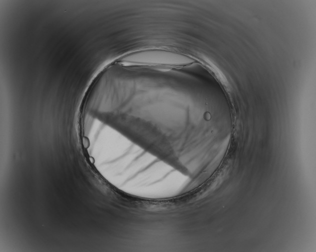 X0000086770899200705111733