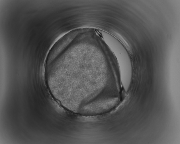 X0000086770900200705111733
