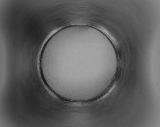 X0000086770901200705111733