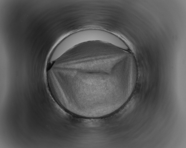 X0000086770902200705111733
