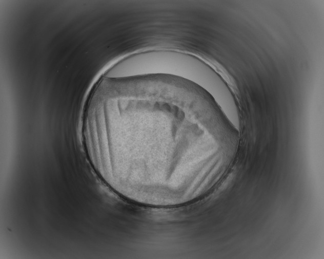 X0000086770904200705111733