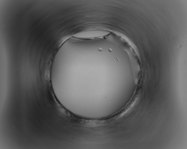 X0000086770905200705111733