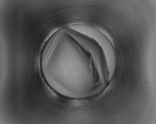 X0000086770906200705111733