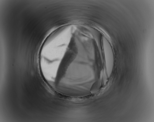 X0000086770907200705111733