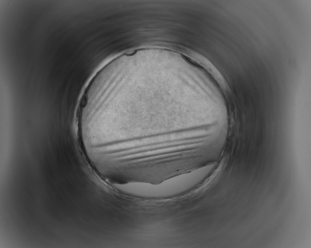 X0000086770908200705111732