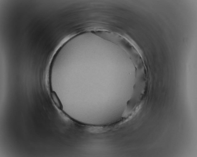 X0000086770909200705111732