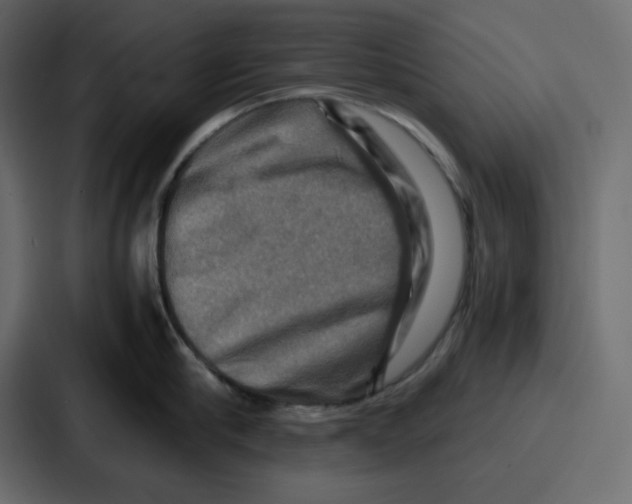 X0000086770910200705111732