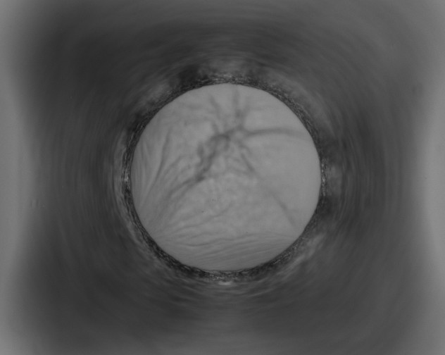 X0000086770913200705111732