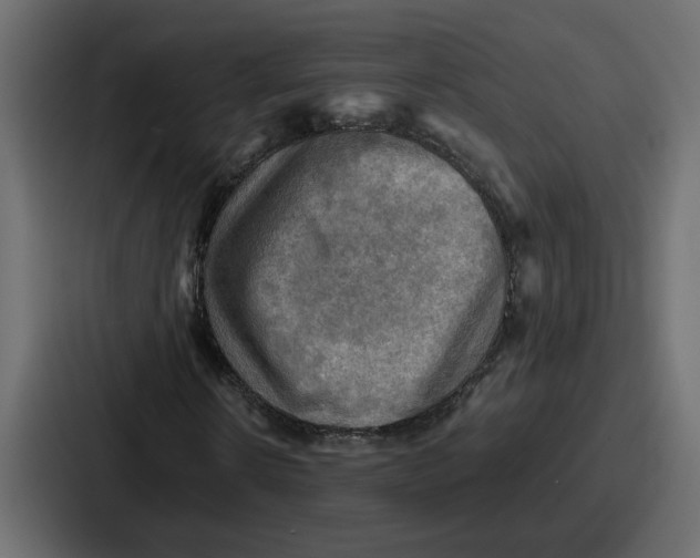 X0000086770914200705111732