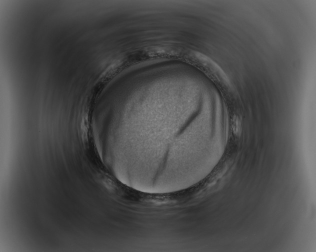 X0000086770915200705111732