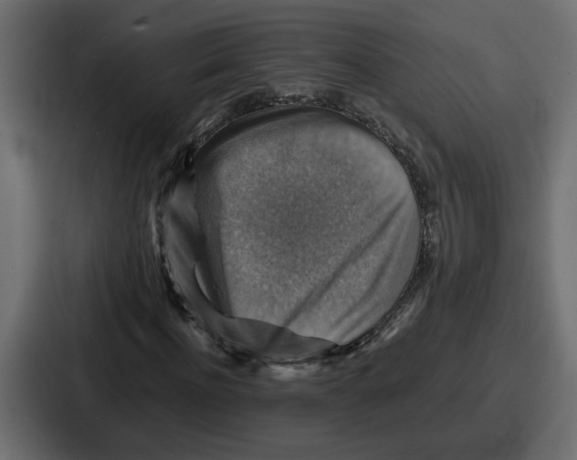 X0000086770916200705111732