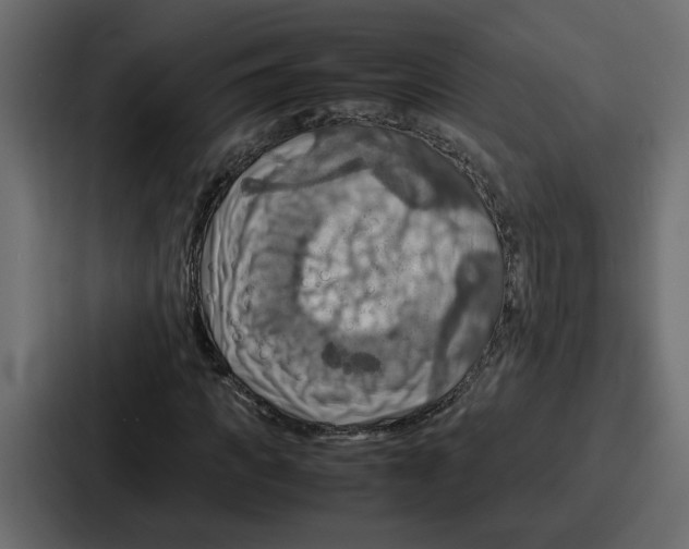 X0000086770917200705111732